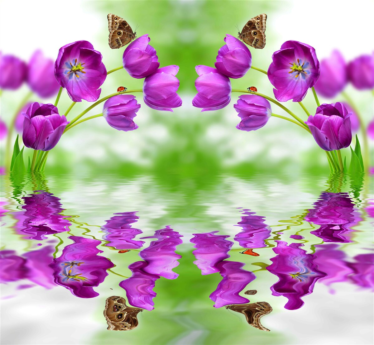 Fotobehang de bloemen weerspiegelen de vlinders die erop rusten in het water