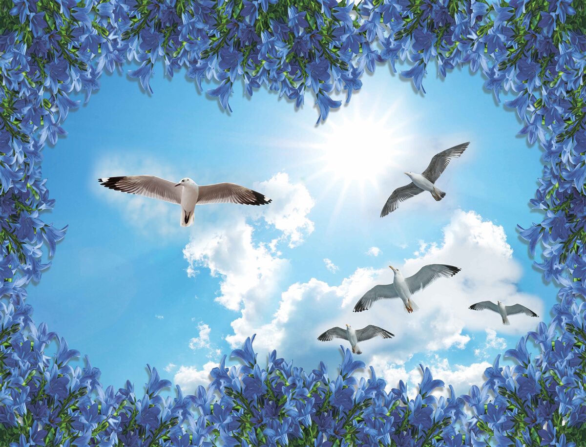 Fotobehang meeuwen zweven door de blauwe lucht