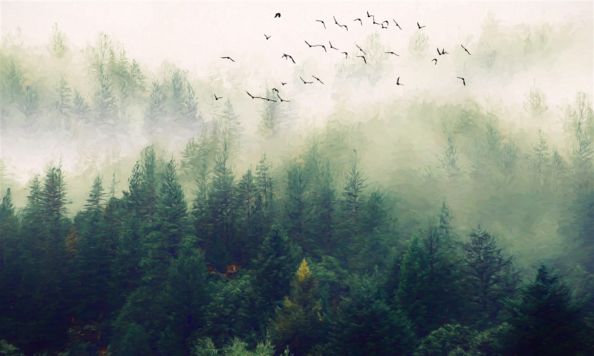 Fotobehang vogels vliegen over het bos in de mistige lucht