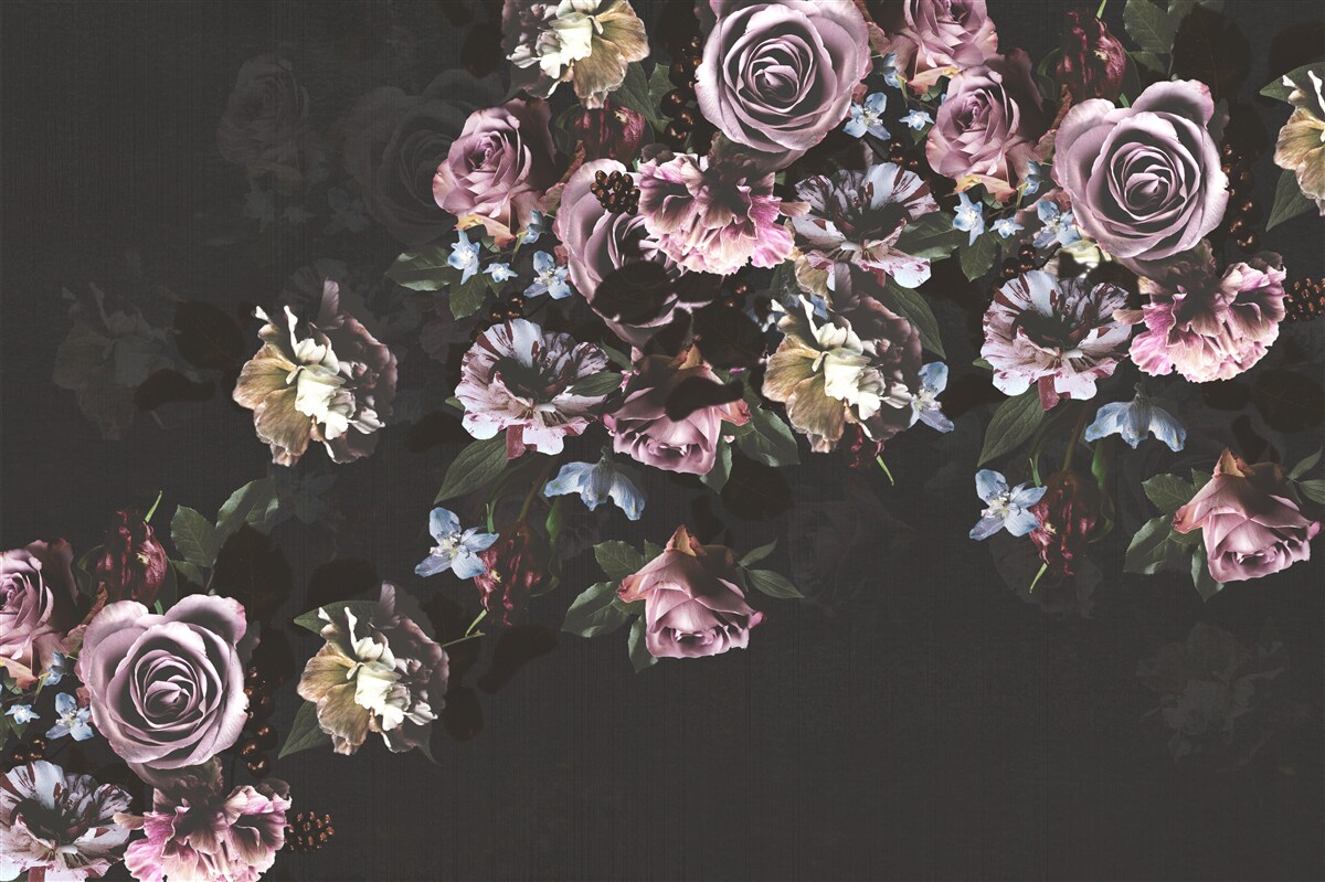 Fotobehang roze bloemen op zwarte achtergrond