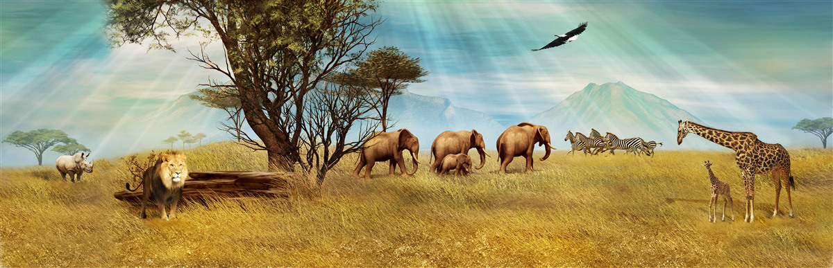 Fotobehang afrikaanse dierenpromenade