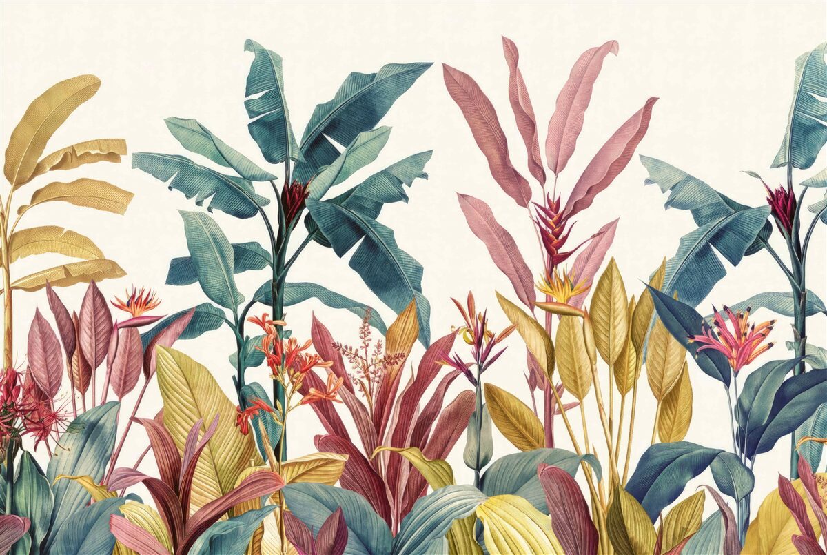 Fotobehang planten van verschillende vormen en tinten