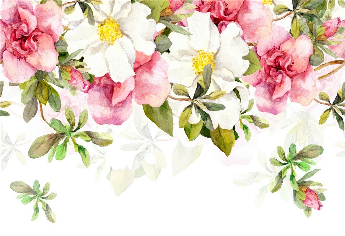 Fotobehang witte margrieten en roze rozen