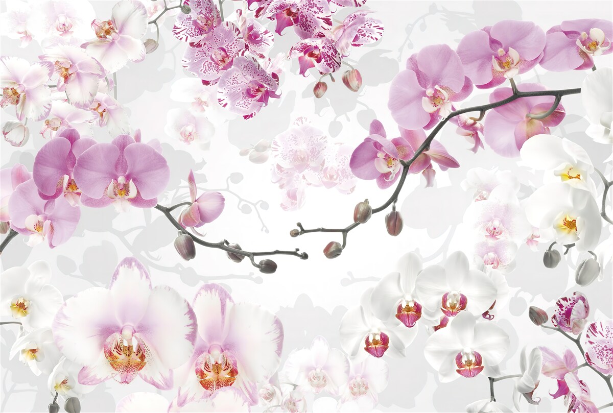 Fotobehang orchideeën takken