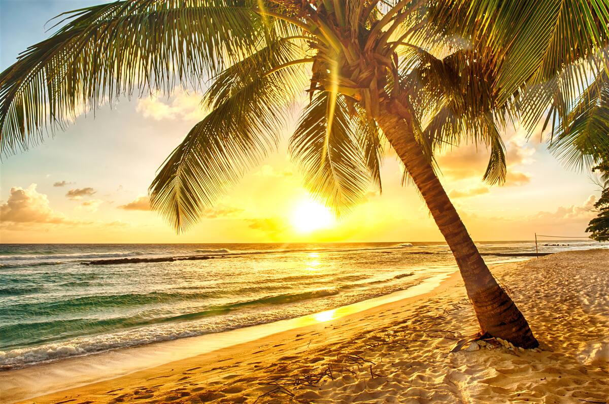 Fotobehang de zon gaat onder aan de horizon van de oceaan en verlicht de palmbomen