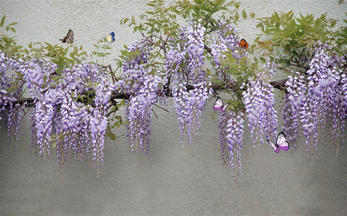 Fotobehang een tak met lila bloesems en fladderende vlinders