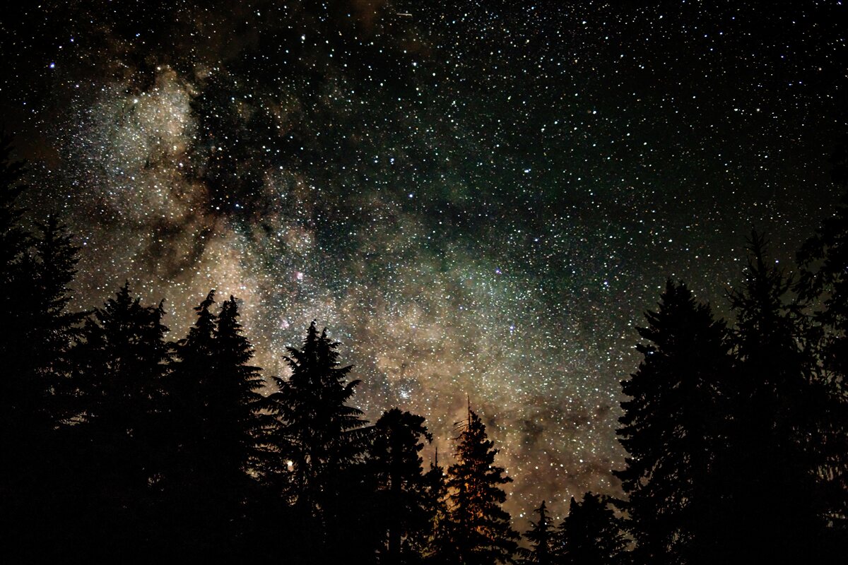 Fotobehang het bos bij nacht en de sterrenhemel