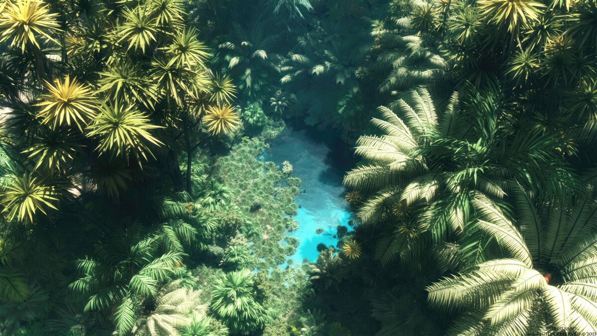 Fotobehang panoramisch uitzicht op het gebladerte en het wateroppervlak van bovenaf