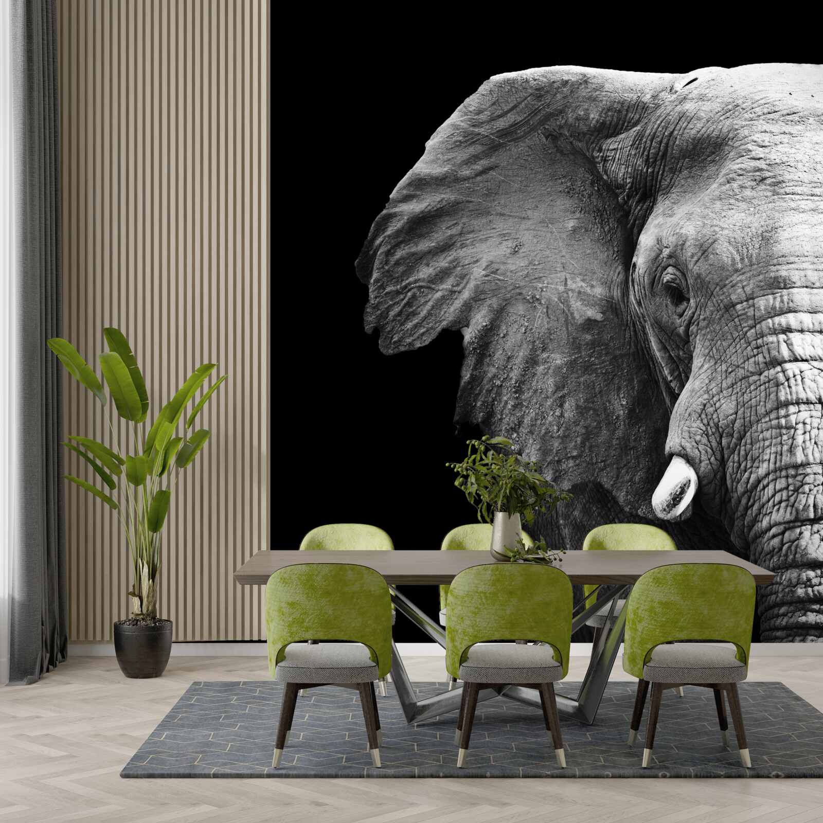 Fotobehang close-up van een olifant op een zwarte achtergrond