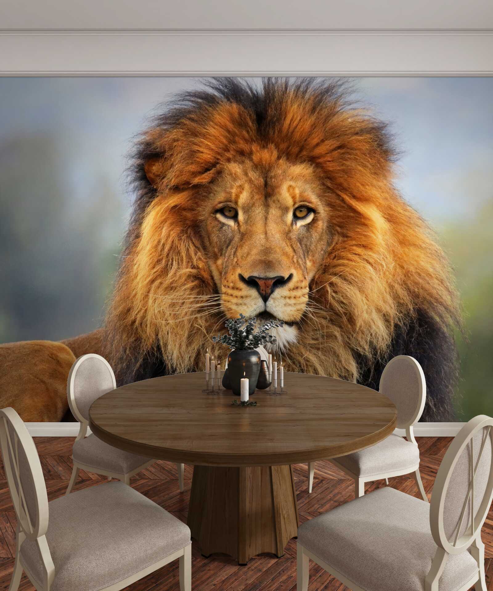 Fotobehang afbeelding van een leeuw