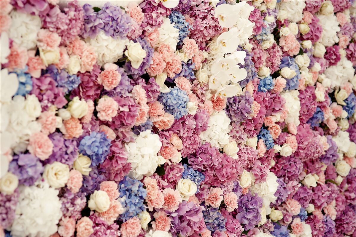 Fotobehang achtergrond van veelkleurige bloemen