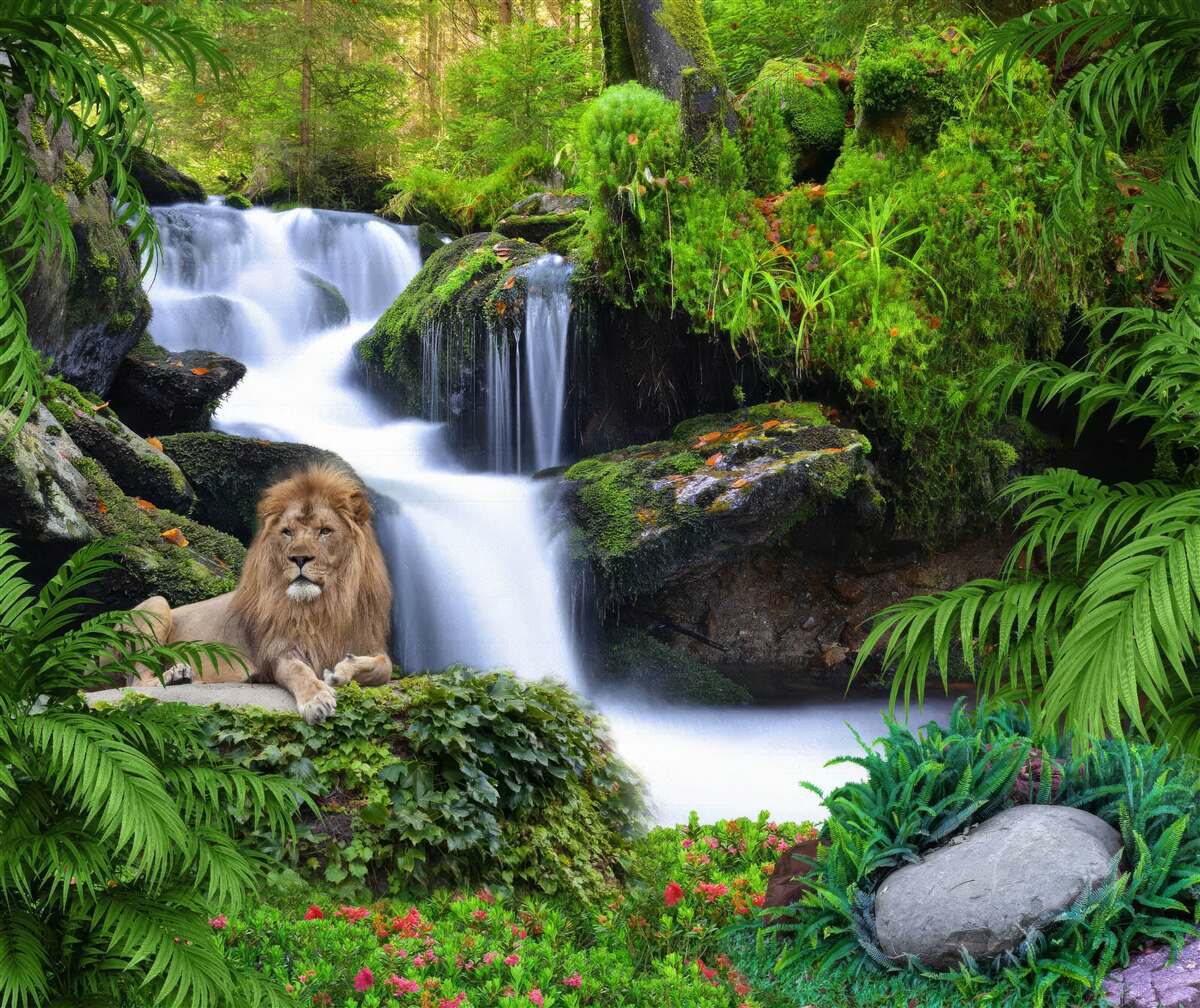 Fotobehang er is een leeuw bij de waterval