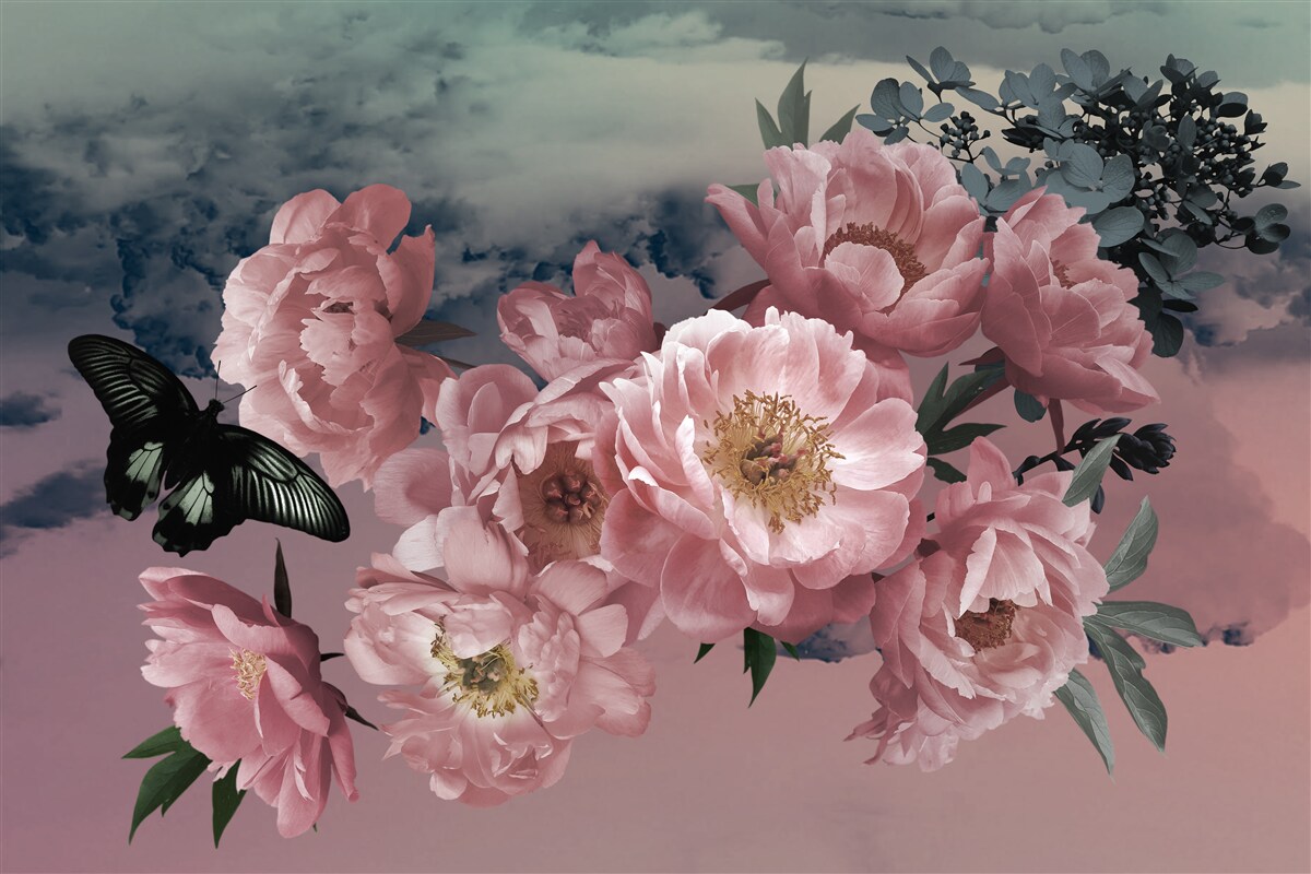 Fotobehang donkere vlinder en roze bloemen