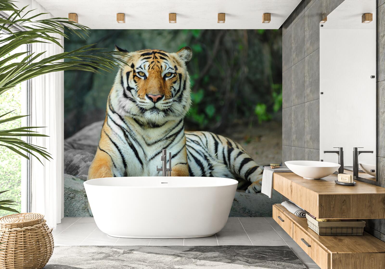 Fotobehang mooie tijger op vakantie