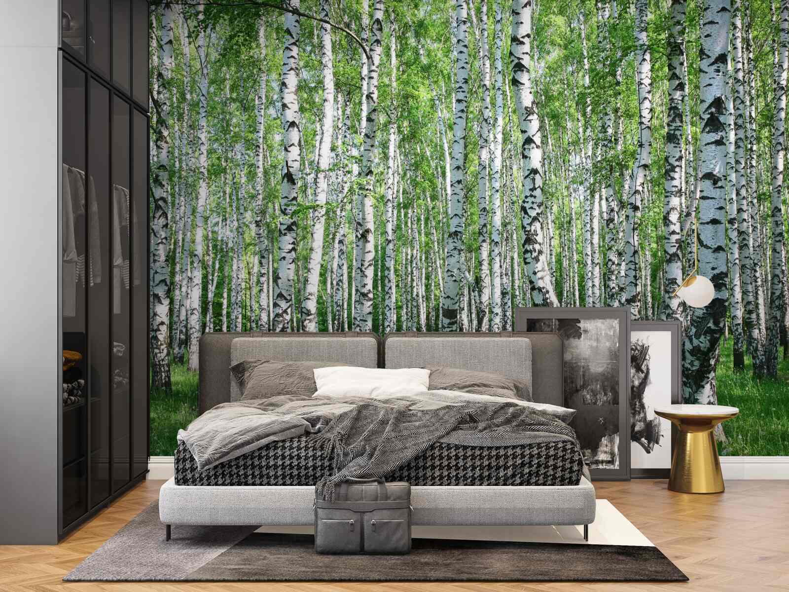 Fotobehang er zijn veel berkenbomen in het bos