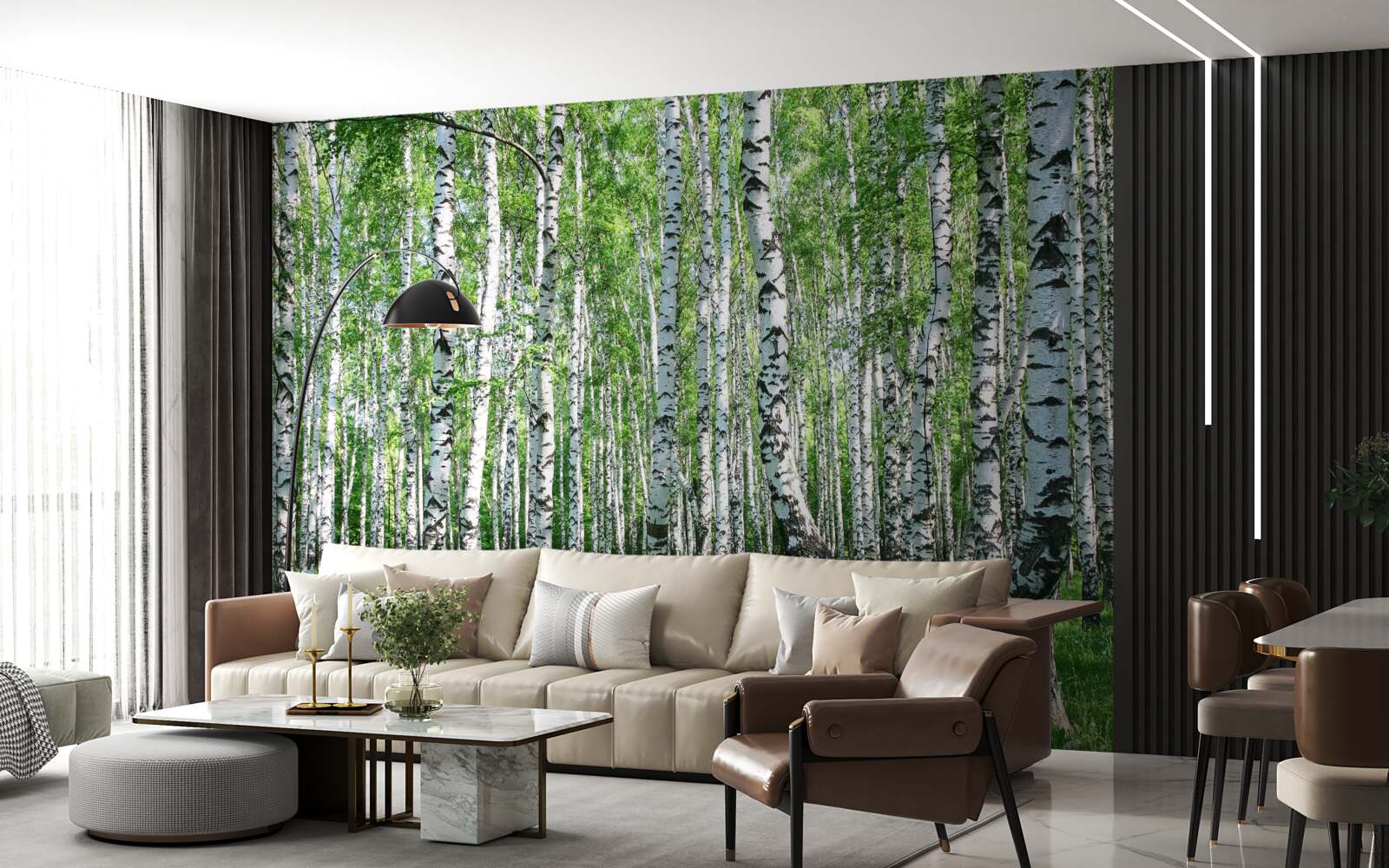 Fotobehang er zijn veel berkenbomen in het bos