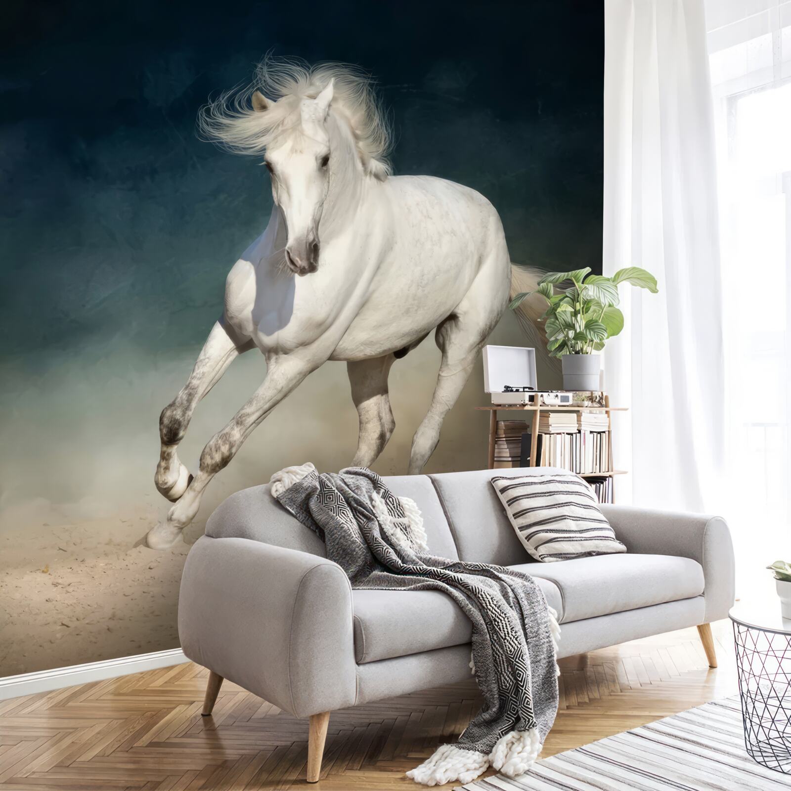 Fotobehang witte paardenren