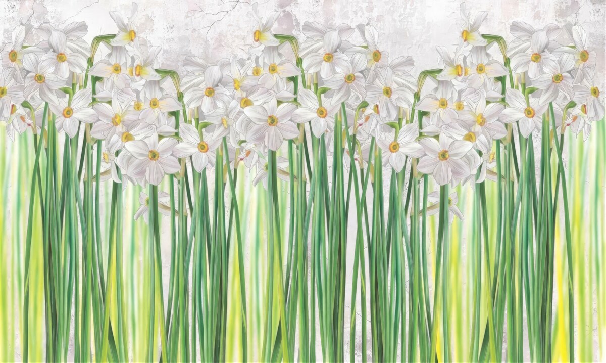 Fotobehang Narcissenbloemen zijn wit