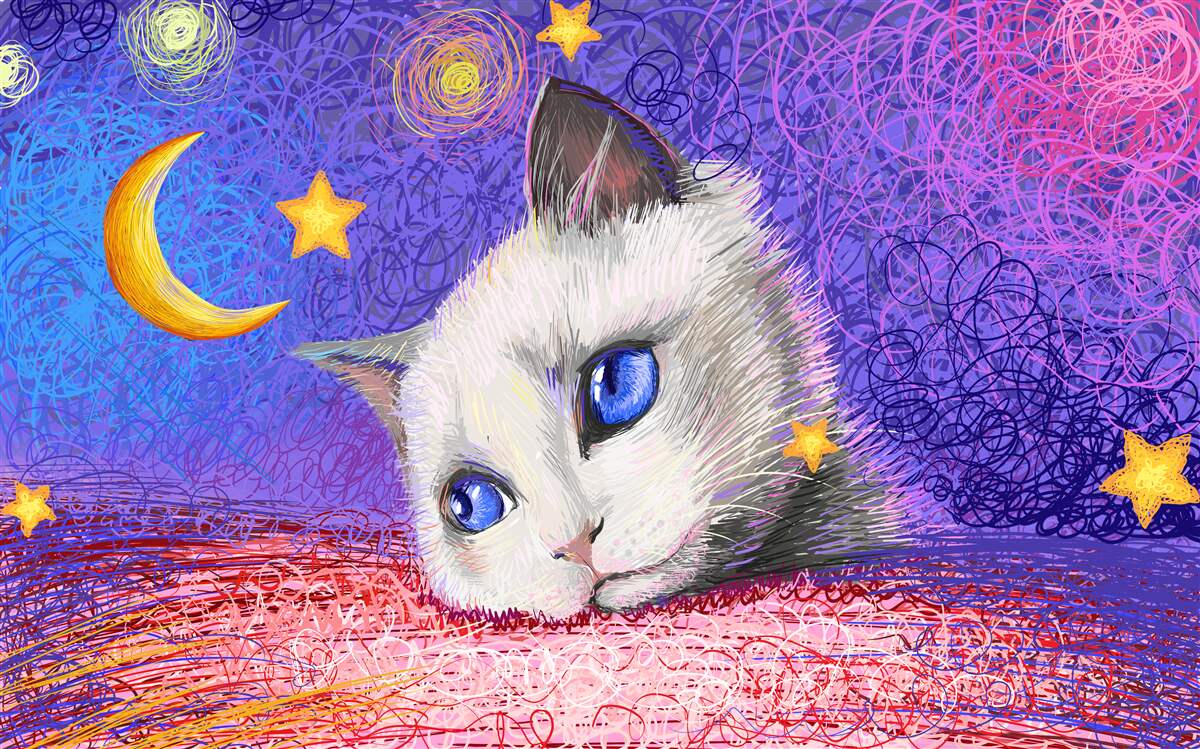 Fotobehang schattige kat kijkt naar de maan