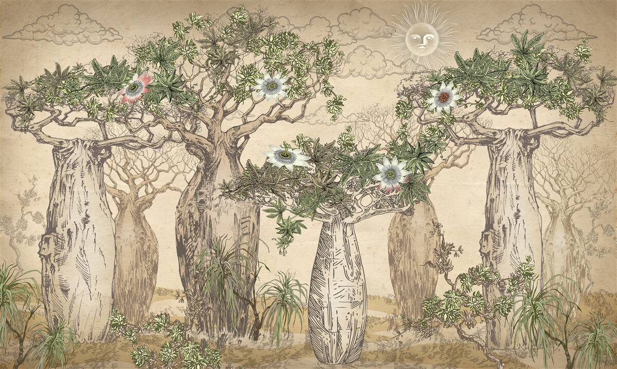 Fotobehang machtige en majestueuze baobabs