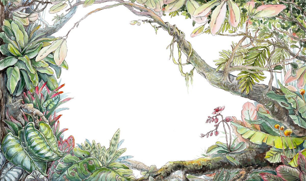 Fotobehang weelderig groen tropisch bos