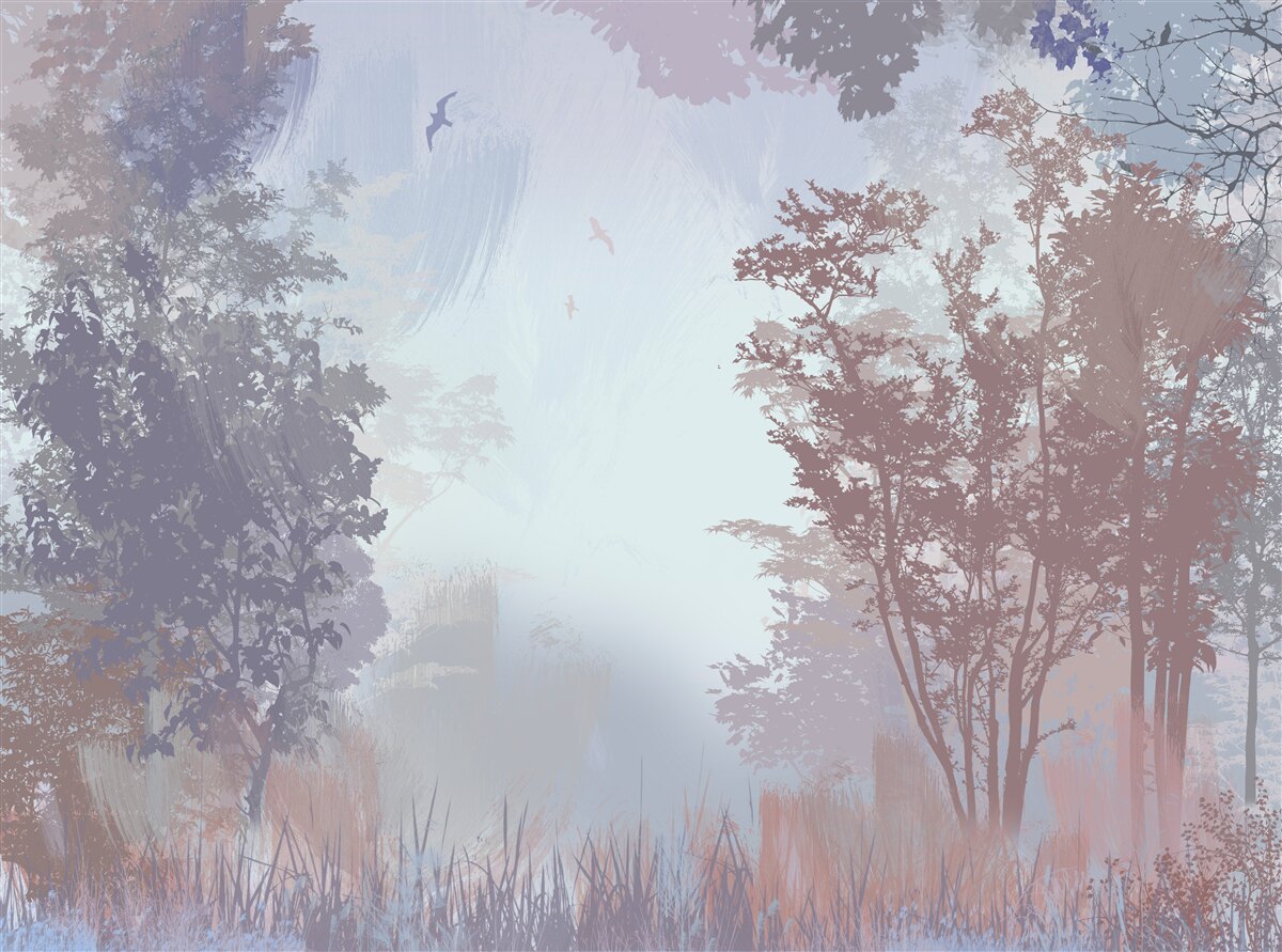 Fotobehang een ochtend in het bos in de herfst