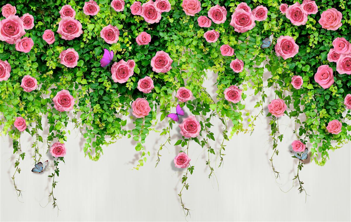 Fotobehang struikrozen met een rijke roze kleur