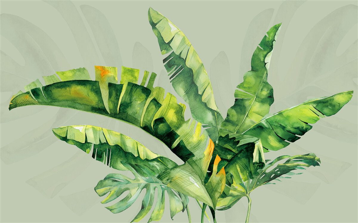 Fotobehang monstera en groene varen