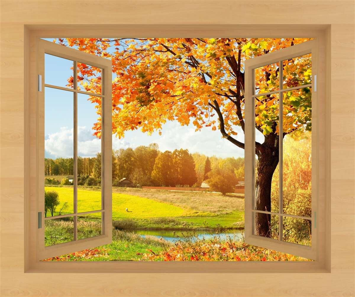 Fotobehang herfstuitzicht vanuit het raam
