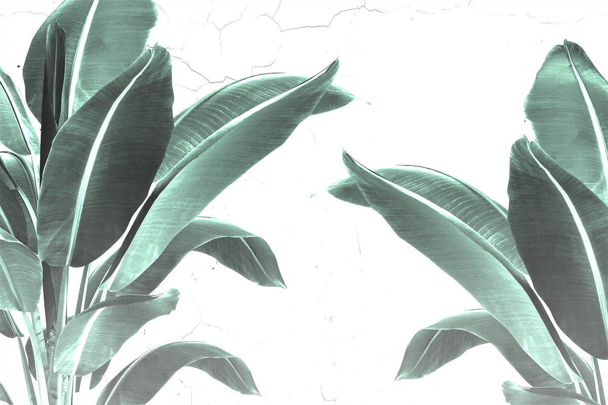Fotobehang grote groene palmbladeren