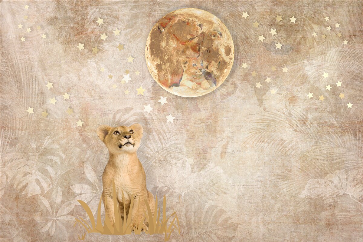 Fotobehang kleine leeuw kijkt naar de maan