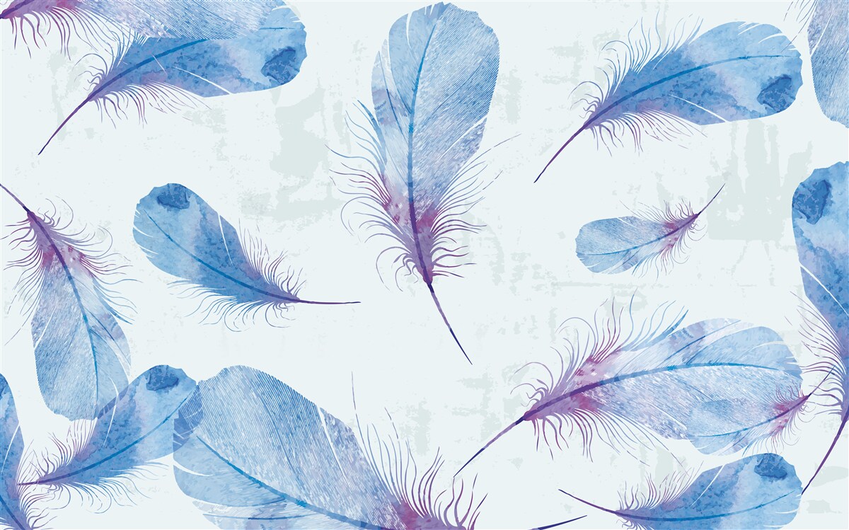 Fotobehang blauwe veren op een witte achtergrond