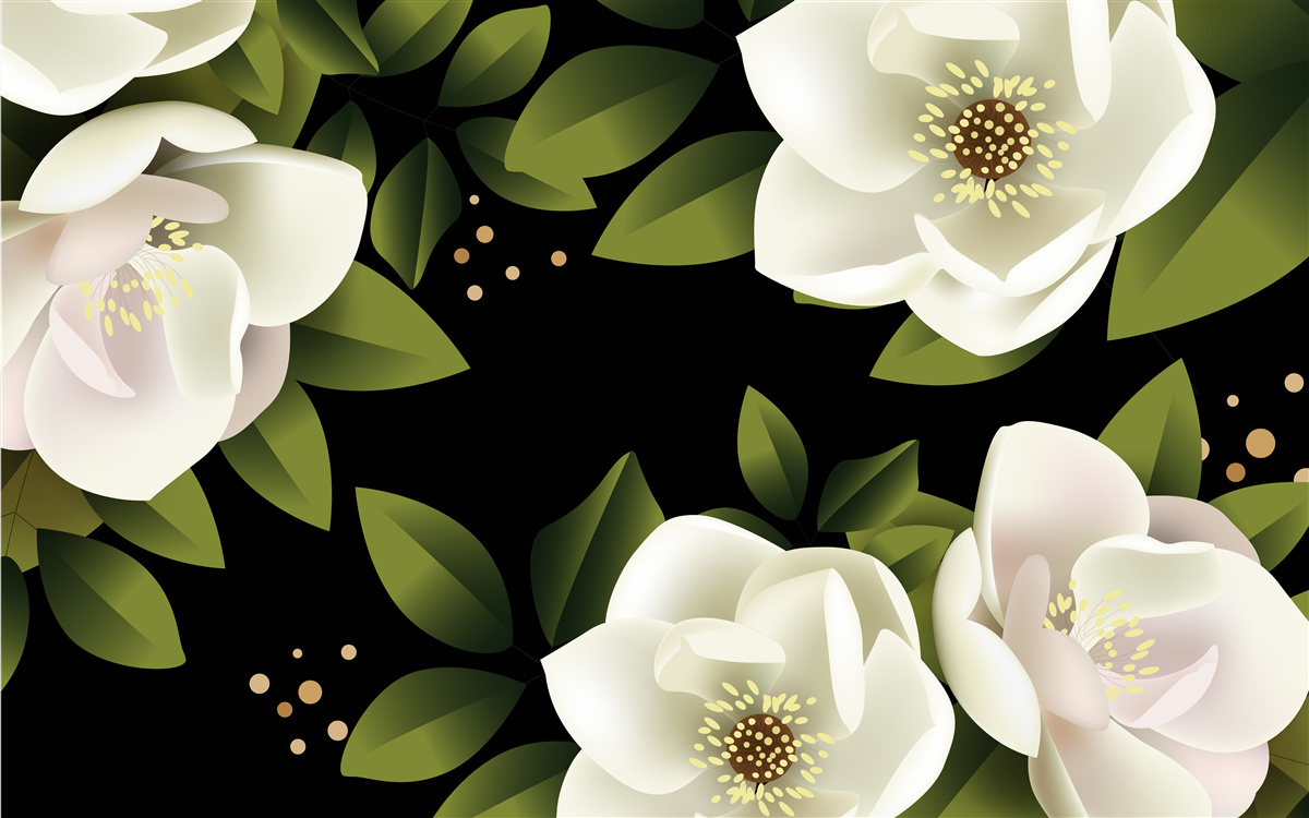 Fotobehang zwarte achtergrond omringt witte bloemen